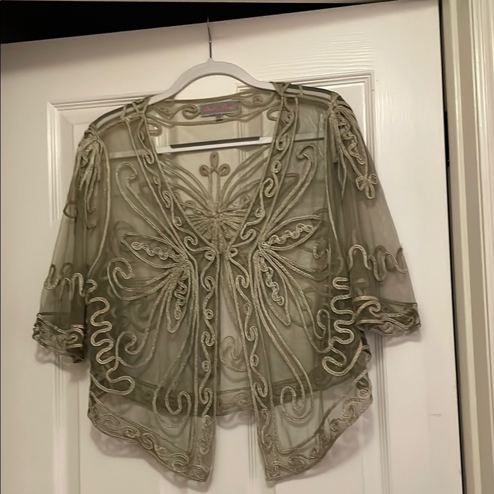 Elegant Embroidered Sheer Top